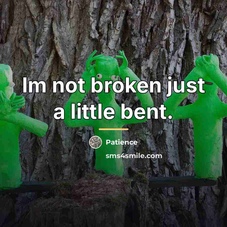 “Im not broken just a little bent.…” quote by Patience