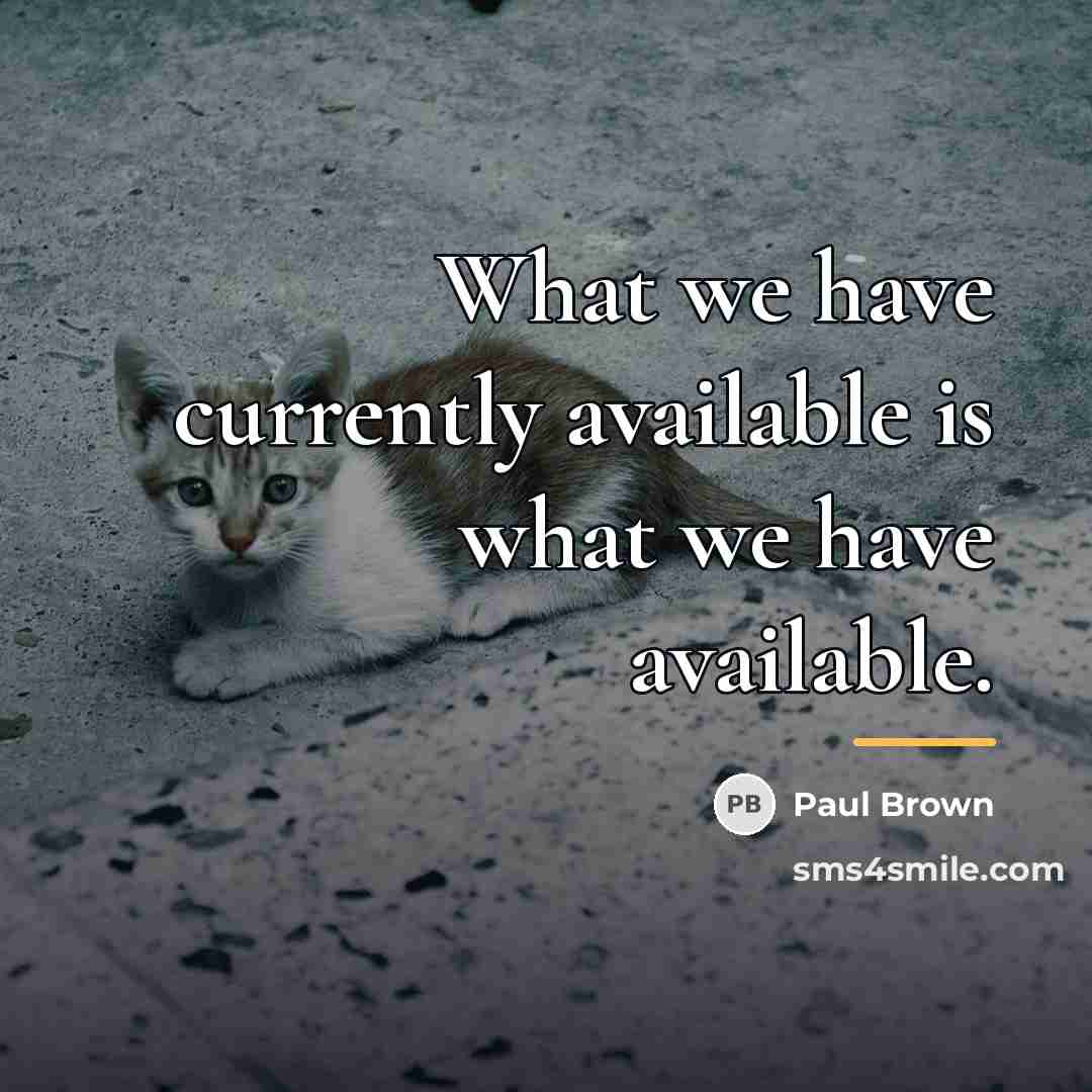 “What we have currently available is what we have available.…” quote by Paul Brown