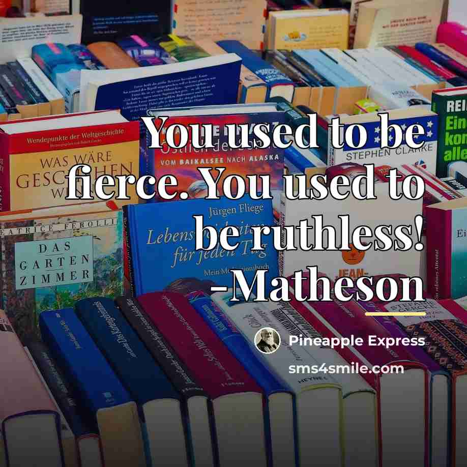“You used to be fierce. You used to be ruthless!…” quote by Pineapple Express