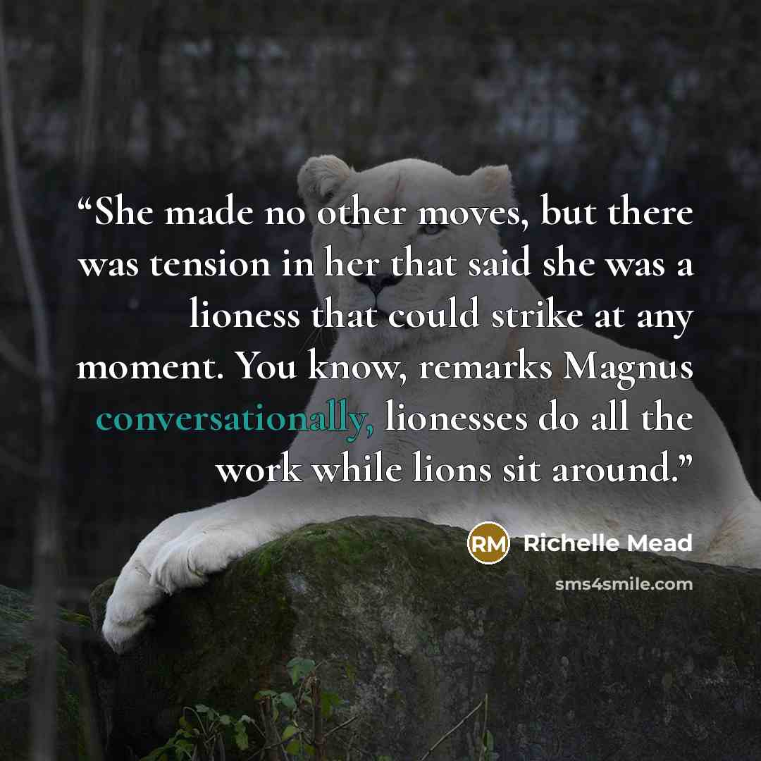 “She made no other moves, but there was tension in her that said she was a lioness that could strike at any moment. You know, remarks Magnus conversationally, lionesses do all the work while lions sit around.” quote by Richelle Mead