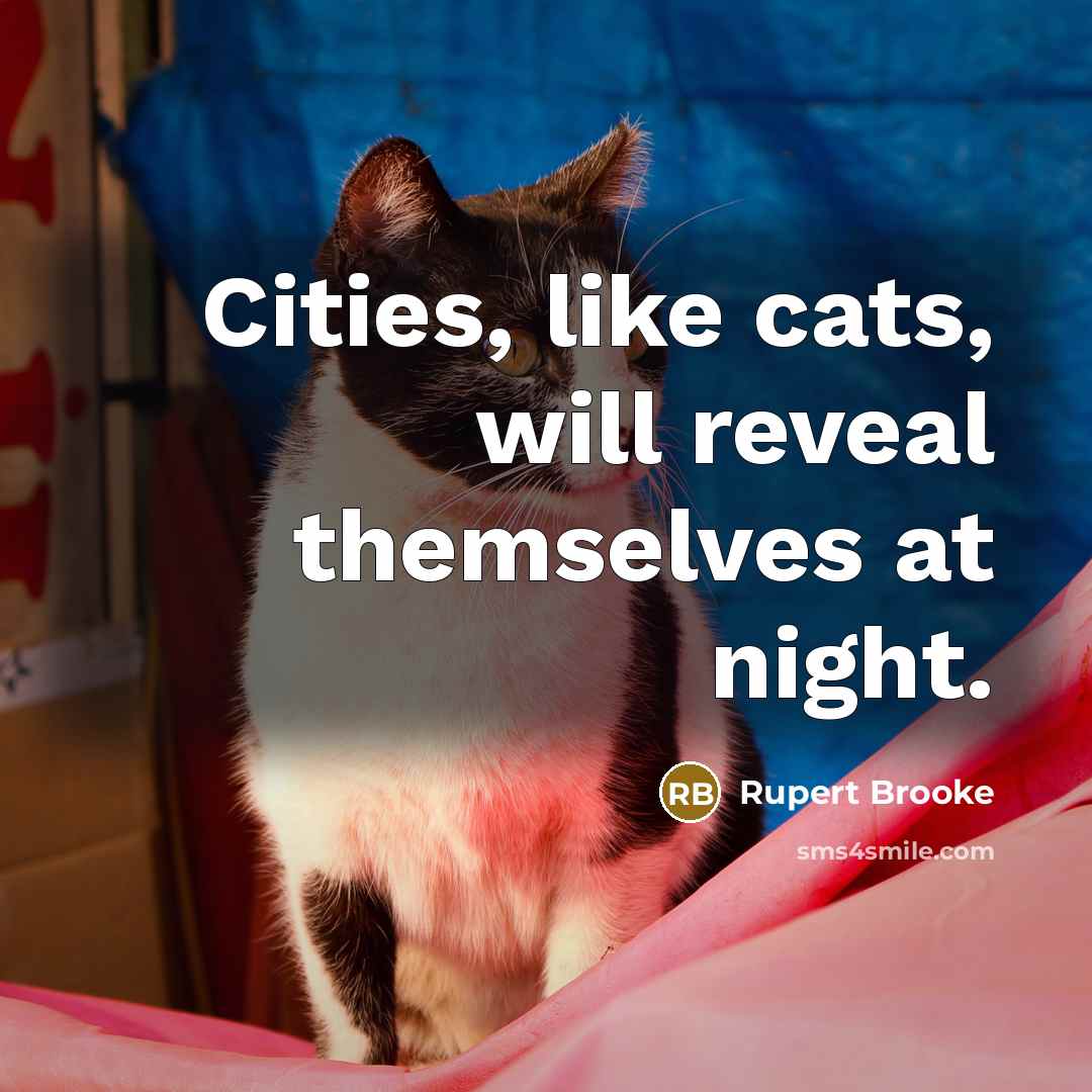 “Cities, like cats, will reveal themselves at night.…” quote by Rupert Brooke