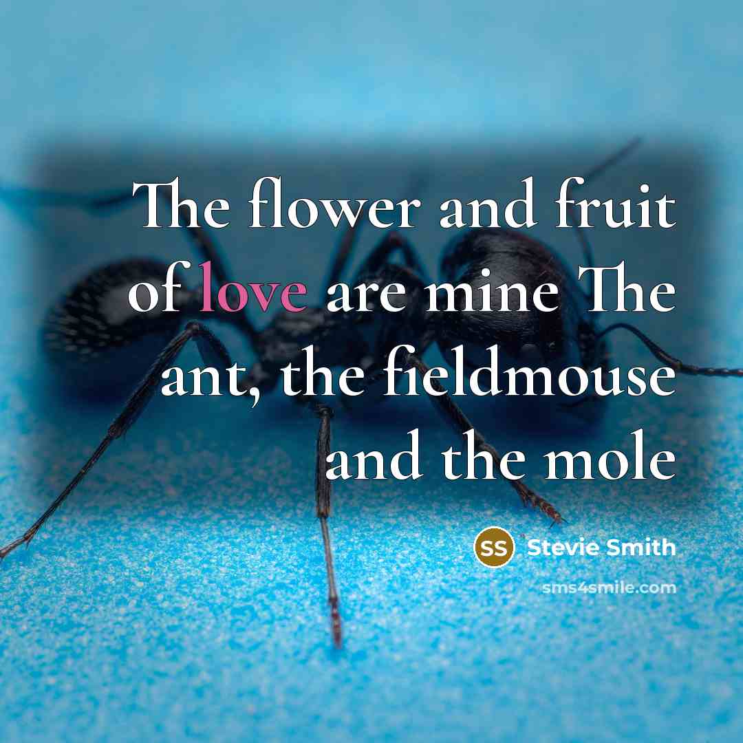 “The flower and fruit of love are mine The ant,…” quote by Stevie Smith
