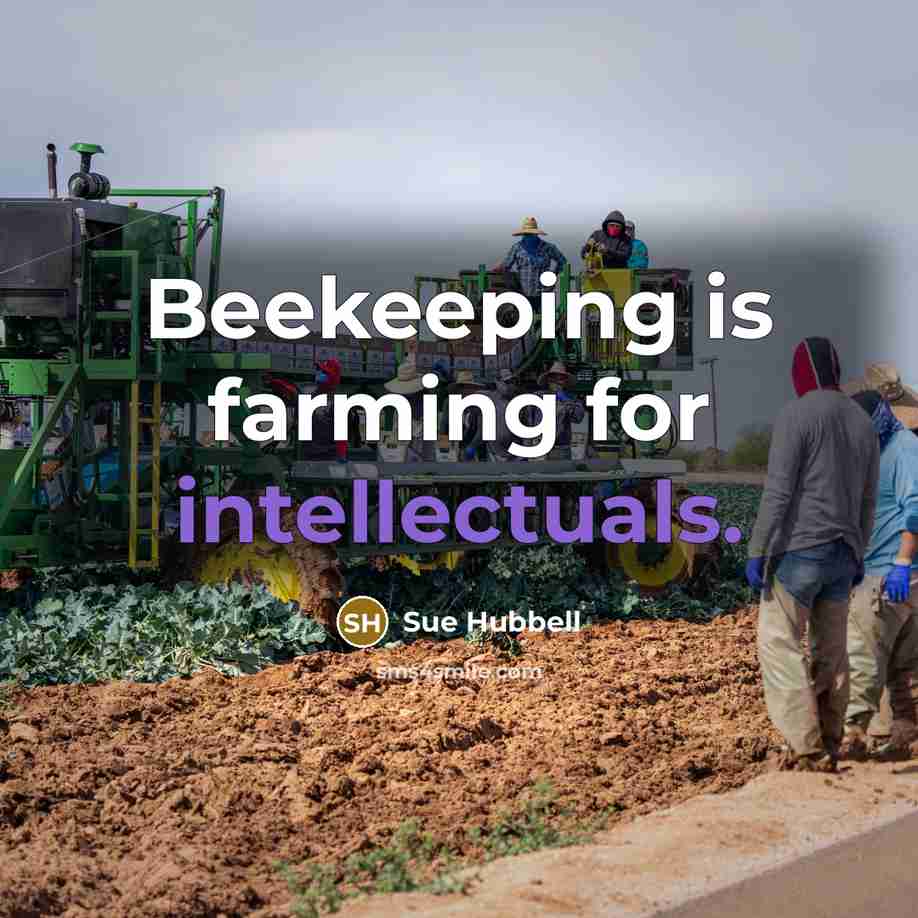 “Beekeeping is farming for intellectuals.” quote by Sue Hubbell