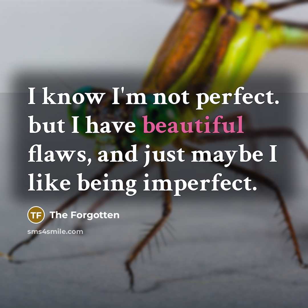 “I know I'm not perfect. but I have beautiful flaws,…” quote by The Forgotten
