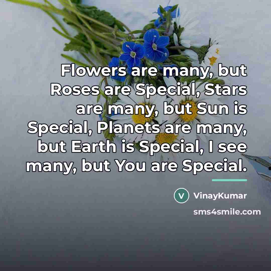“Flowers are many, but Roses are Special, Stars are many,…” quote by VinayKumar