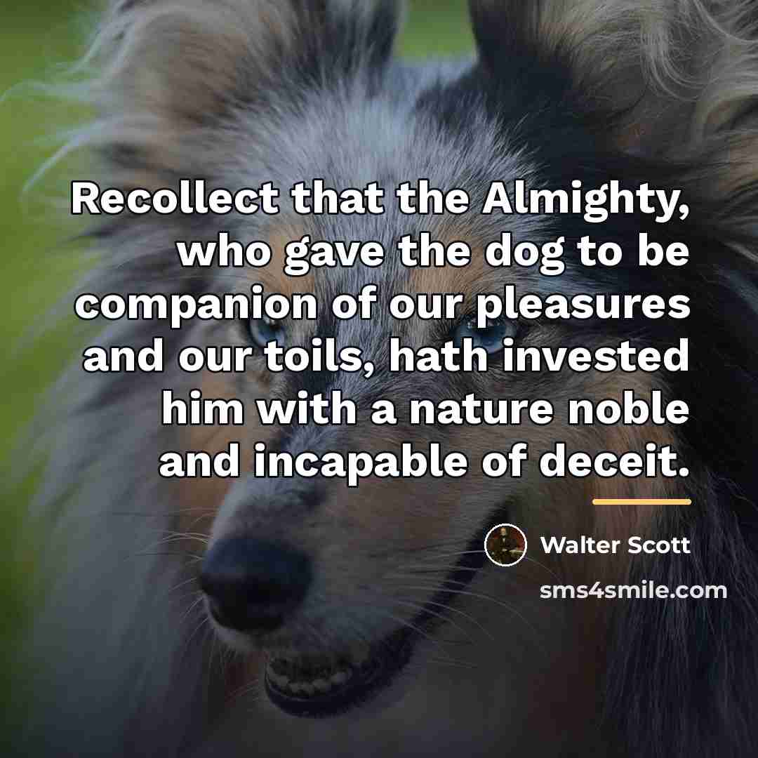 “Recollect that the Almighty, who gave the dog to be…” quote by Walter Scott
