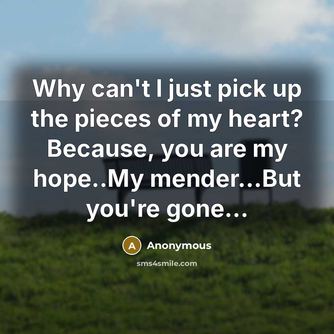 “Why can't I just pick up the pieces of my heart? Because, you are my hope..My mender...But you're gone...” quote by Anonymous