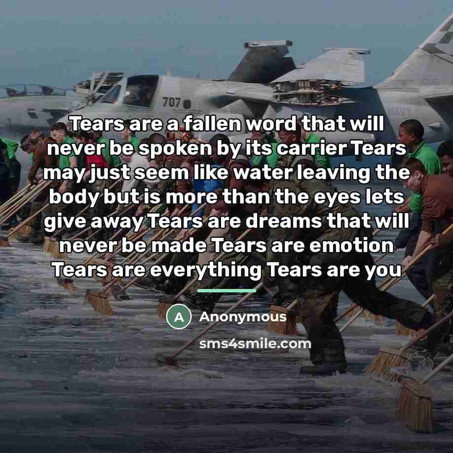 “Tears are a fallen word that will never be spoken…” quote by Anonymous