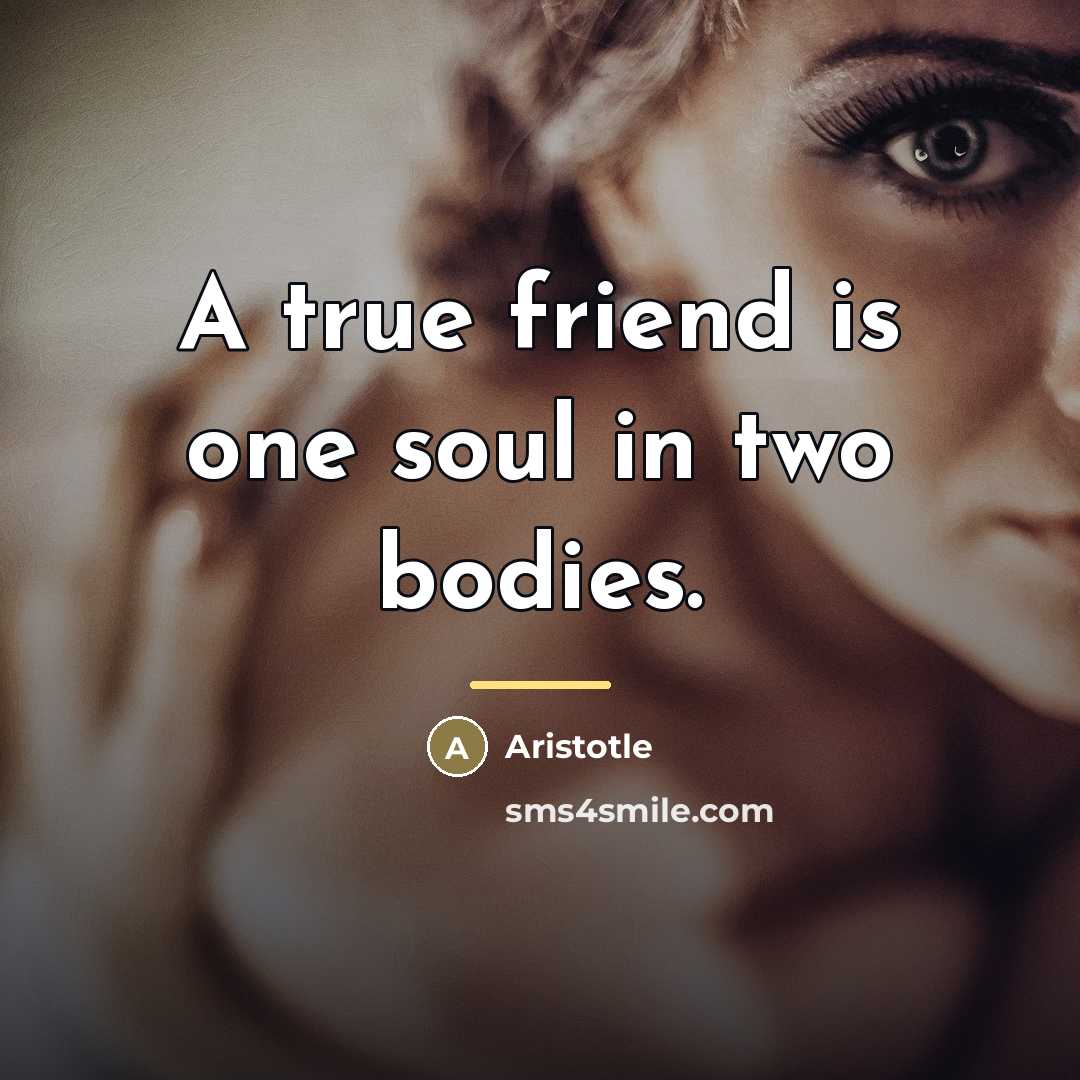 “A true friend is one soul in two bodies.…” quote by Aristotle