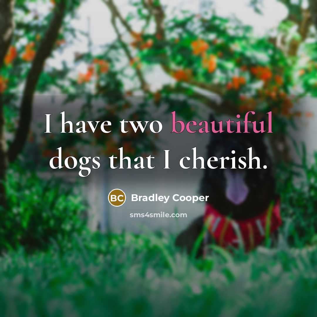 “I have two beautiful dogs that I cherish.…” quote by Bradley Cooper