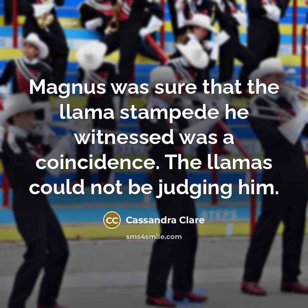 “Magnus was sure that the llama stampede he witnessed was…” quote by Cassandra Clare