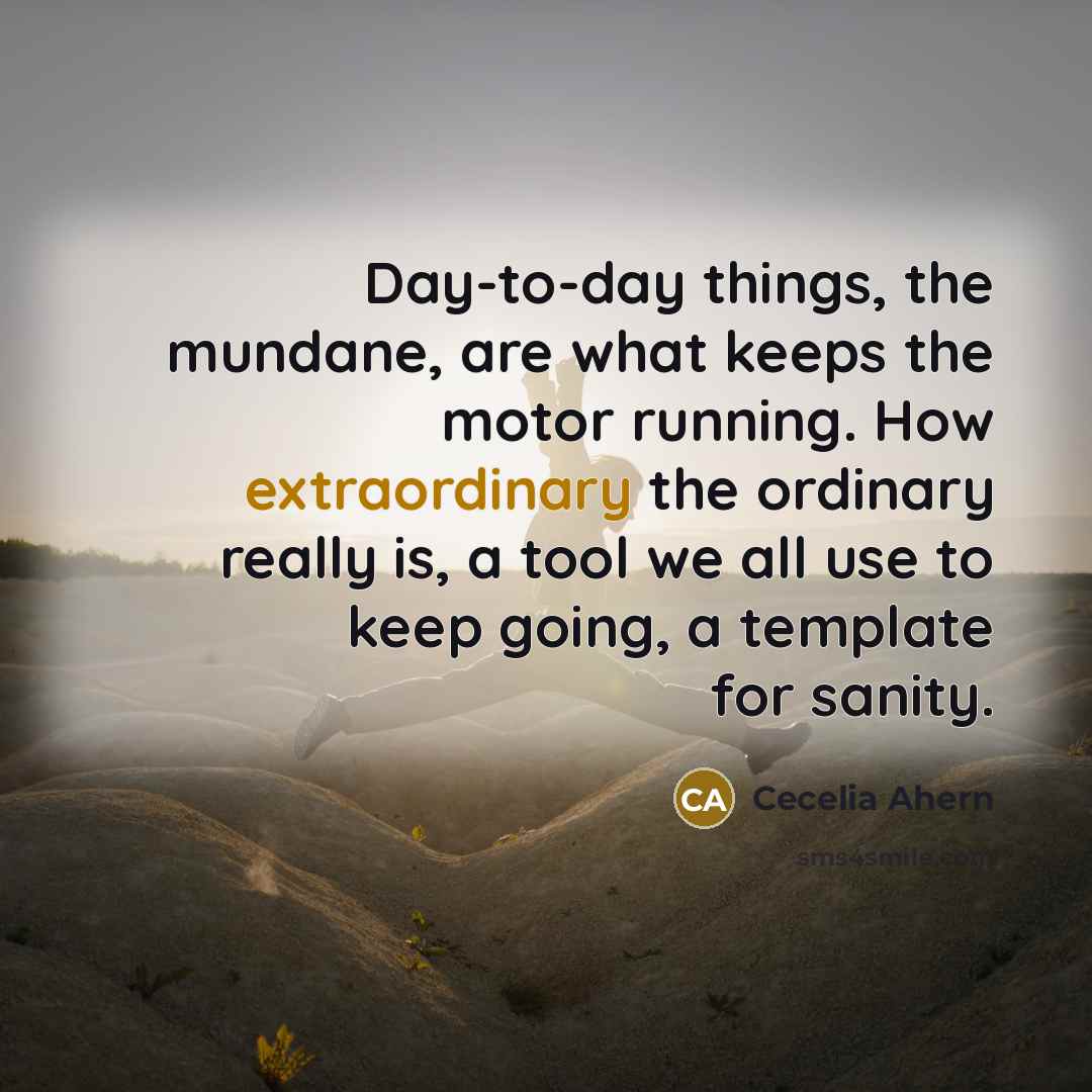“Day-to-day things, the mundane, are what keeps the motor running.…” quote by Cecelia Ahern