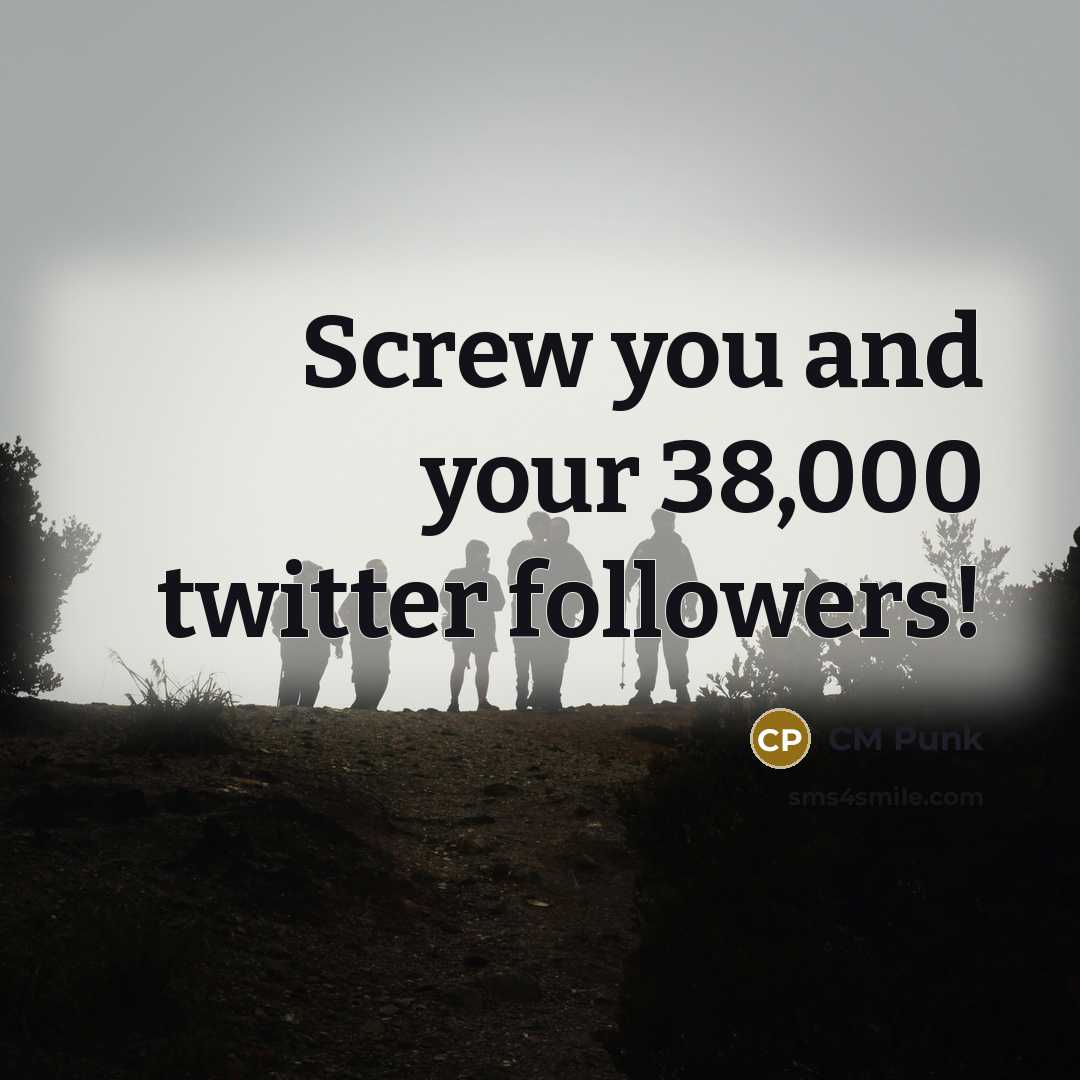 “Screw you and your 38,000 twitter followers!…” quote by CM Punk