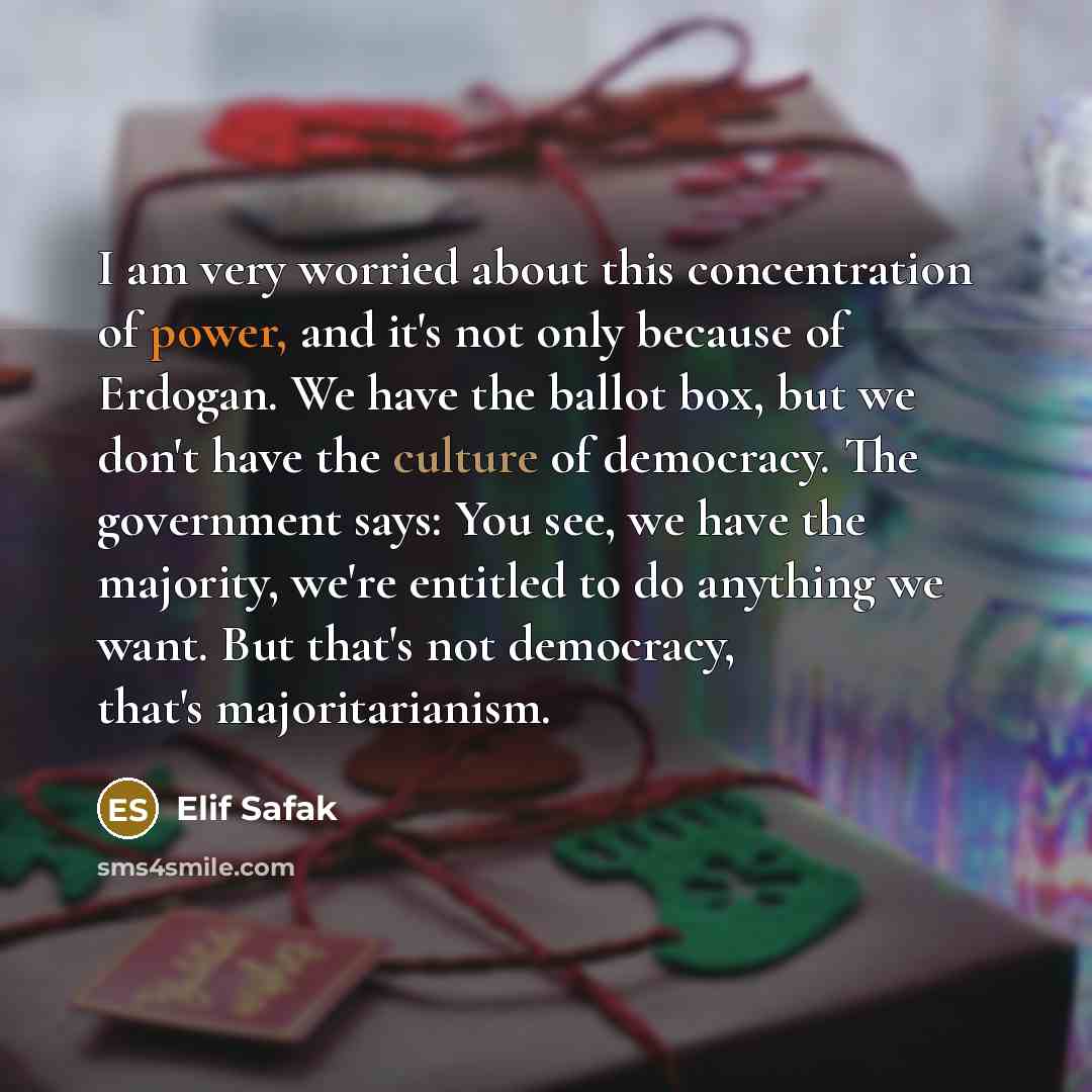 “I am very worried about this concentration of power, and…” quote by Elif Safak