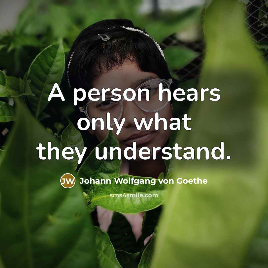 “A person hears only what they understand.…” quote by Johann Wolfgang von Goethe