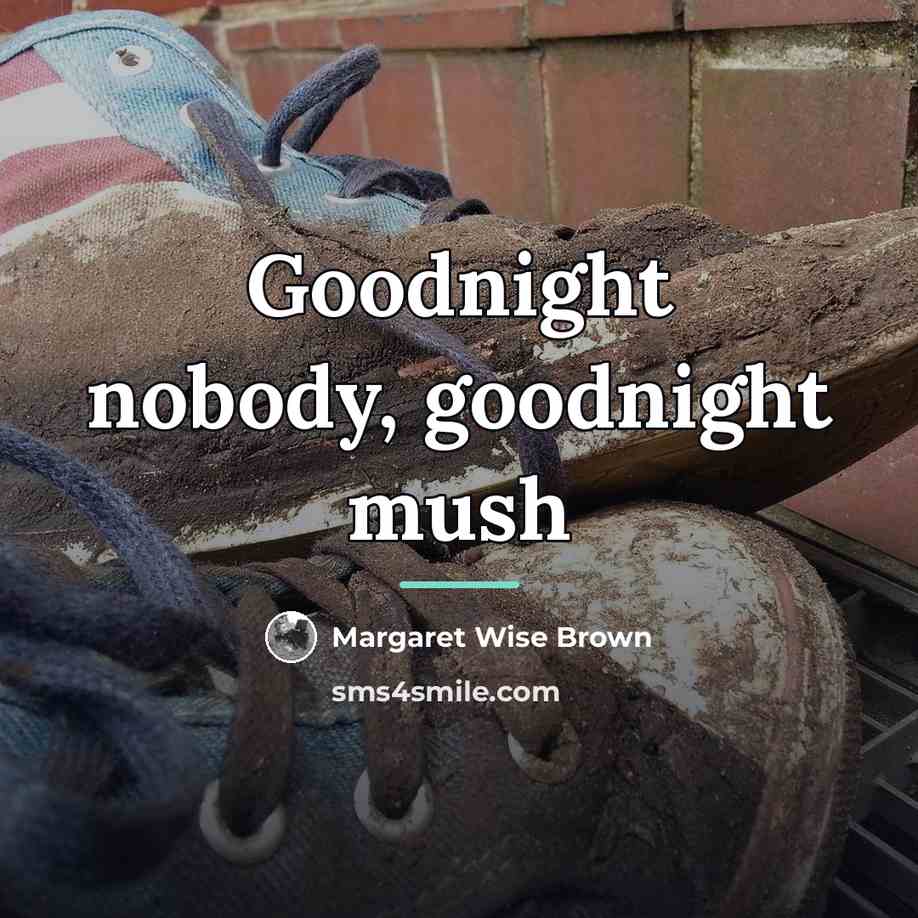 “Goodnight nobody, goodnight mush…” quote by Margaret Wise Brown