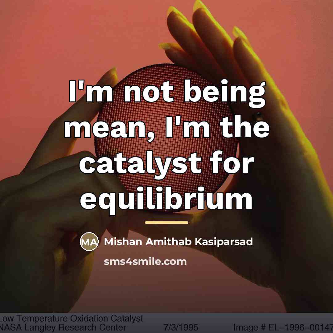 “I'm not being mean, I'm the catalyst for equilibrium…” quote by Mishan Amithab Kasiparsad