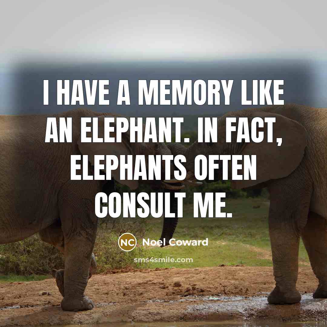 “I have a memory like an elephant. In fact, elephants…” quote by Noel Coward