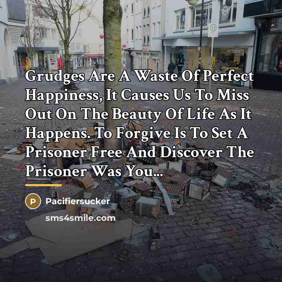 “Grudges Are A Waste Of Perfect Happiness, It Causes Us…” quote by Pacifiersucker