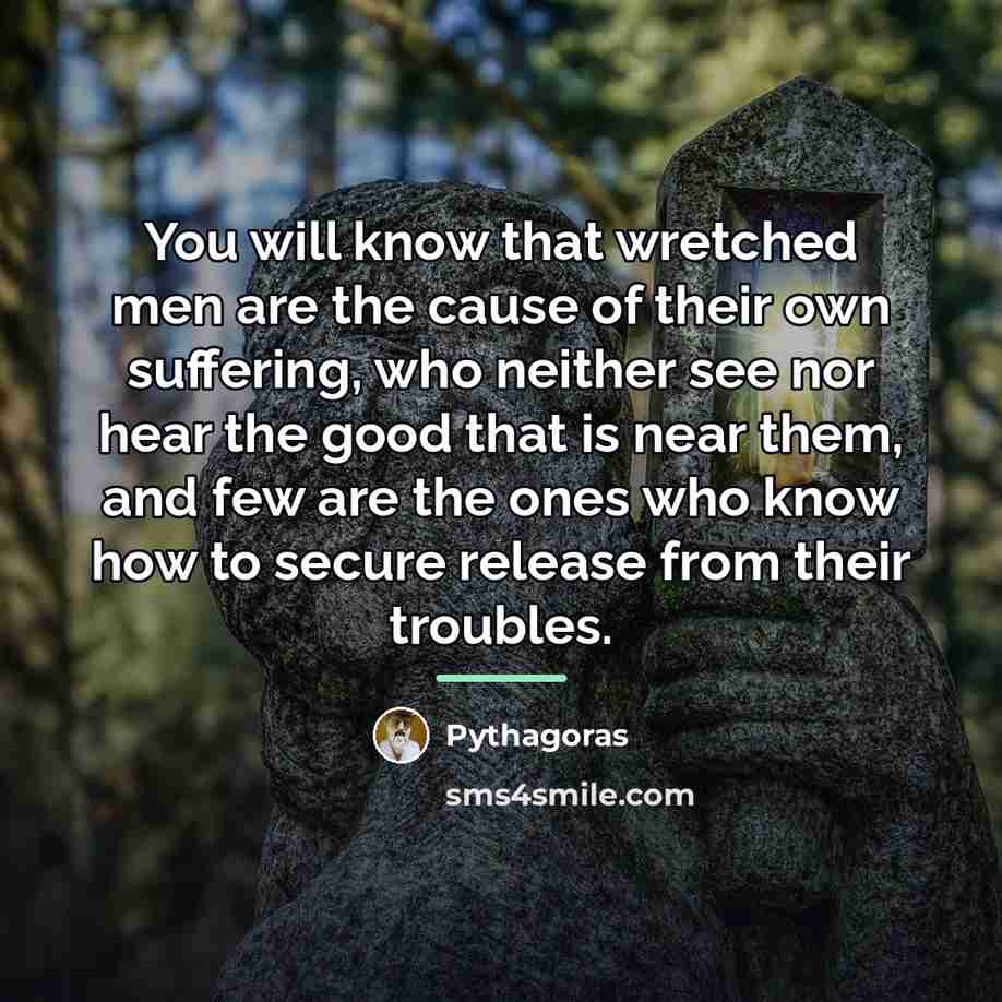 “You will know that wretched men are the cause of…” quote by Pythagoras