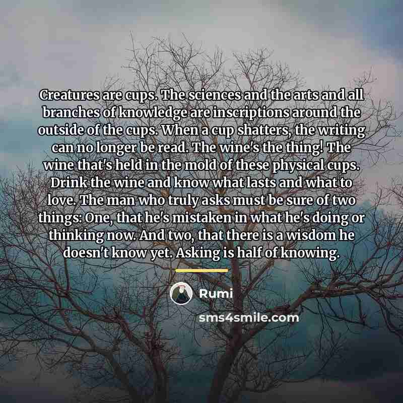 “Creatures are cups. The sciences and the arts and all…” quote by Rumi