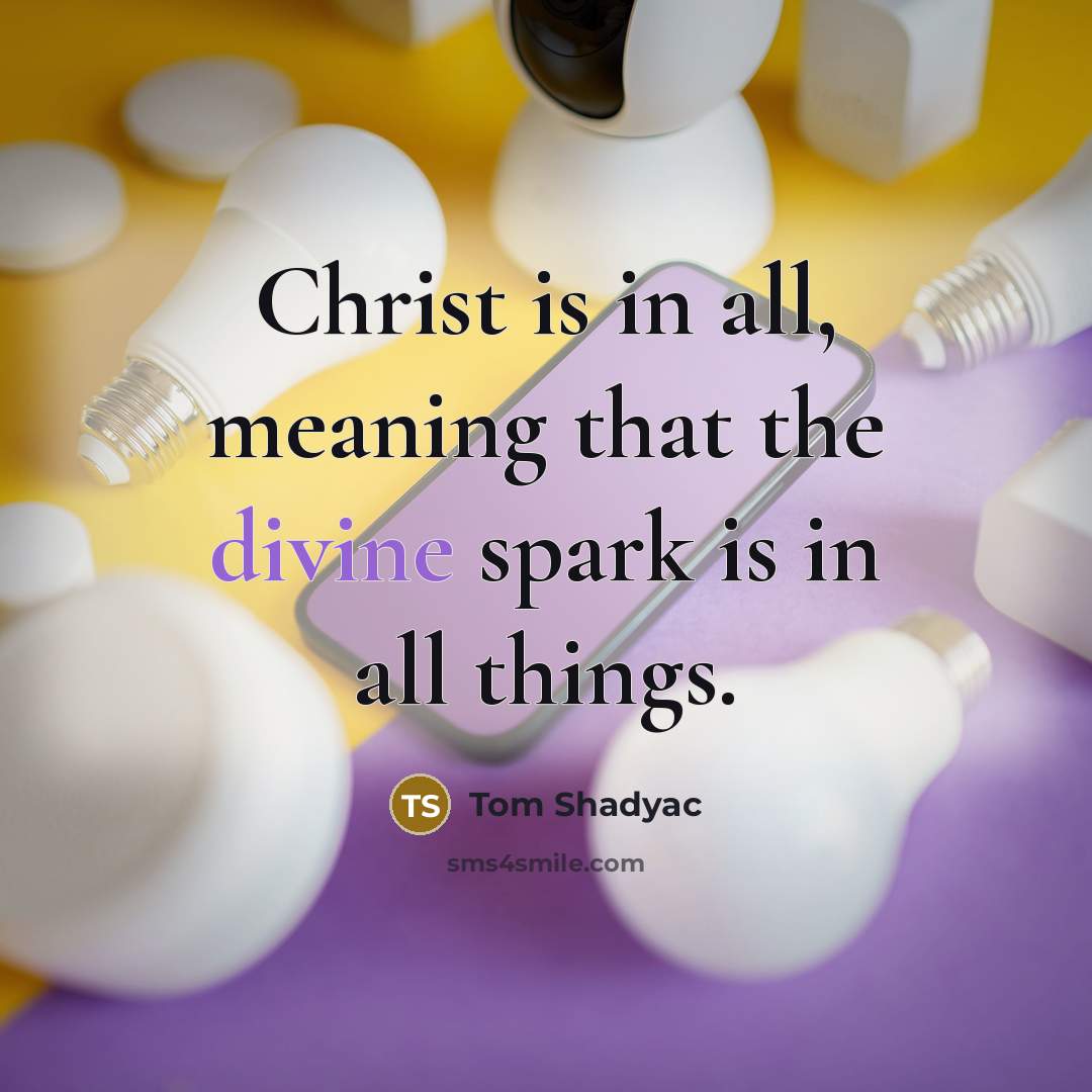 “Christ is in all, meaning that the divine spark is…” quote by Tom Shadyac