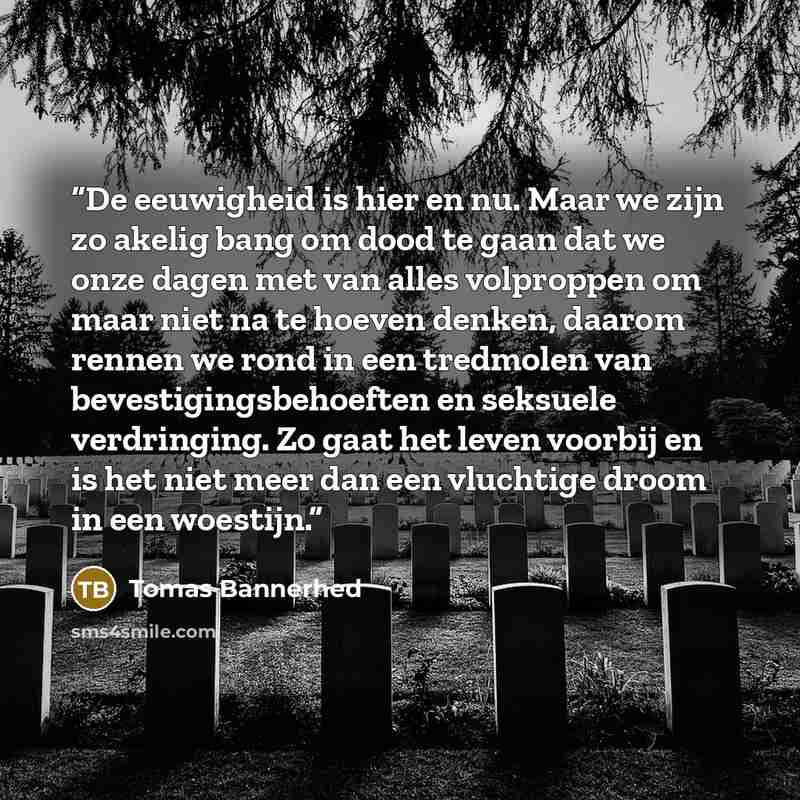 “De eeuwigheid is hier en nu. Maar we zijn zo akelig bang om dood te gaan dat we onze dagen met van alles volproppen om maar niet na te hoeven denken, daarom rennen we rond in een tredmolen van bevestigingsbehoeften en seksuele verdringing. Zo gaat het leven voorbij en is het niet meer dan een…” quote by Tomas Bannerhed