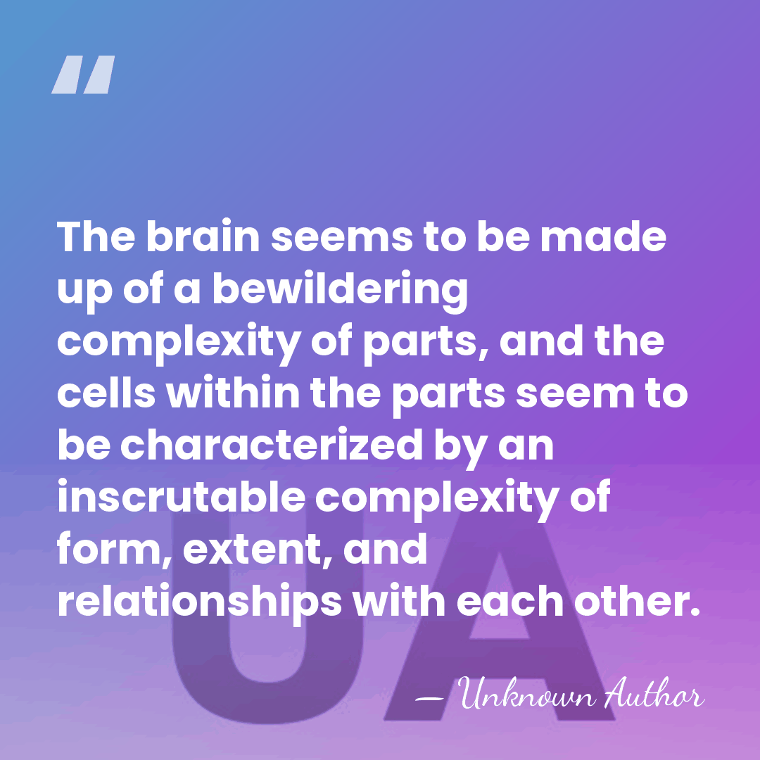 The brain seems to be made up of a bewildering complexity of&hellip; - Gordon Shepherd