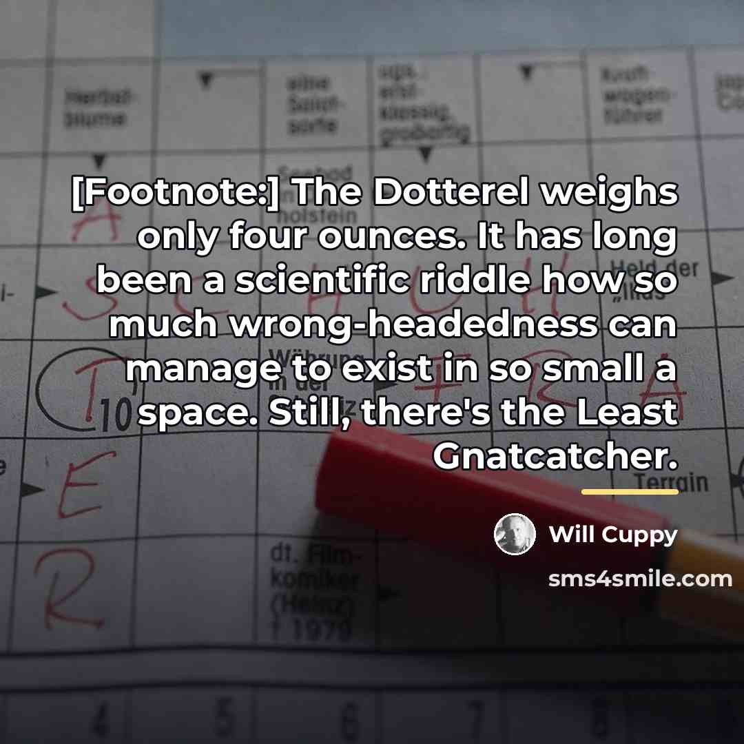 “[Footnote:] The Dotterel weighs only four ounces. It has long…” quote by Will Cuppy