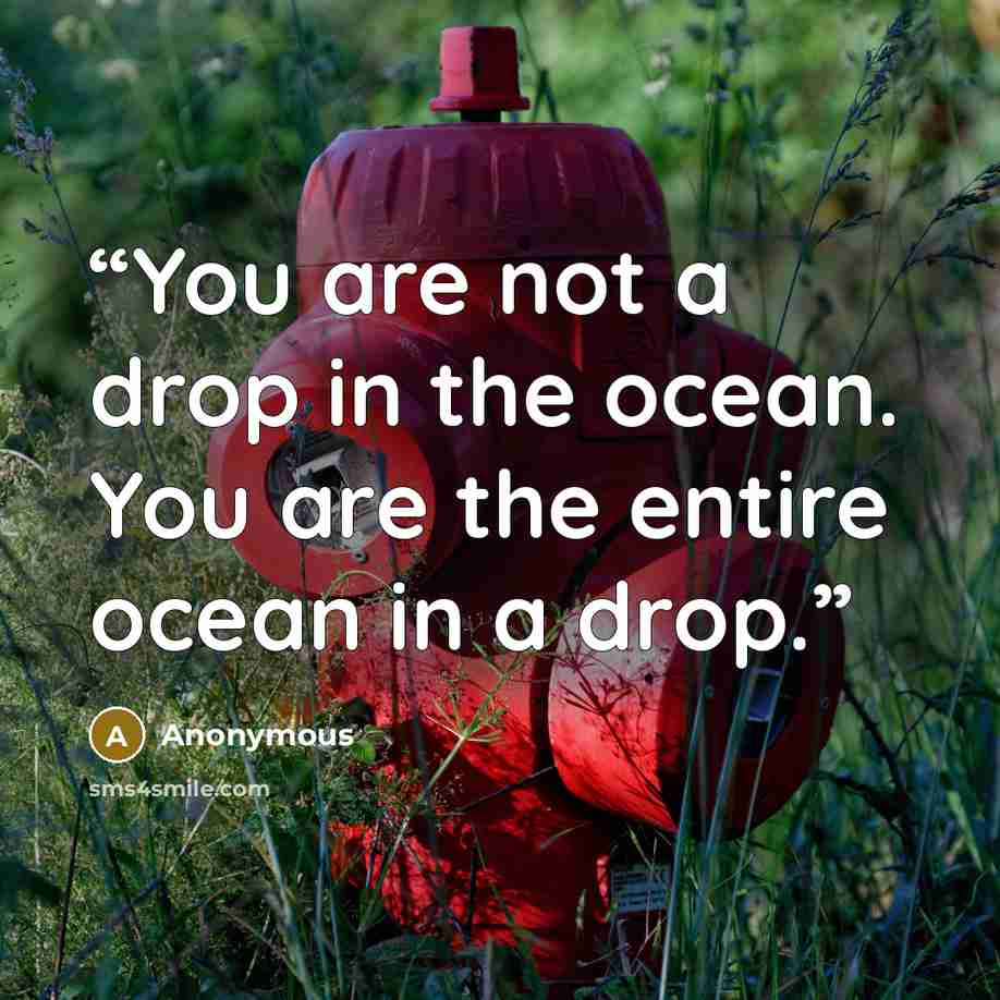 “You are not a drop in the ocean. You are the entire ocean in a drop.” quote by Anonymous