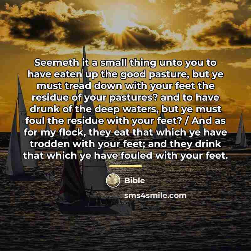 “Seemeth it a small thing unto you to have eaten…” quote by Bible