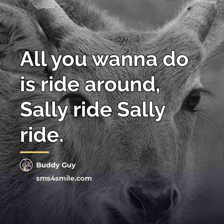 “All you wanna do is ride around, Sally ride Sally…” quote by Buddy Guy