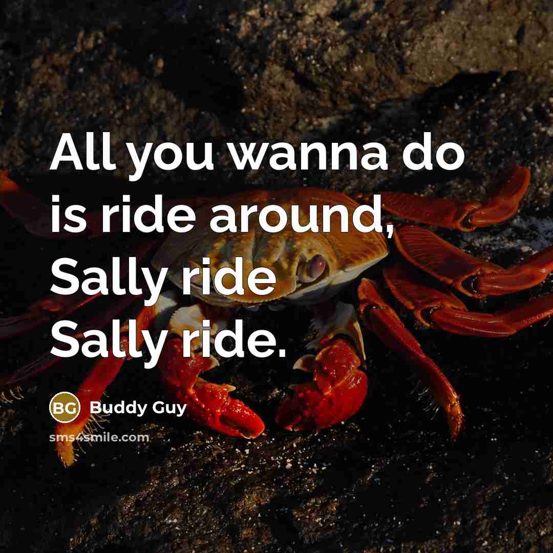 “All you wanna do is ride around, Sally ride Sally ride.” quote by Buddy Guy