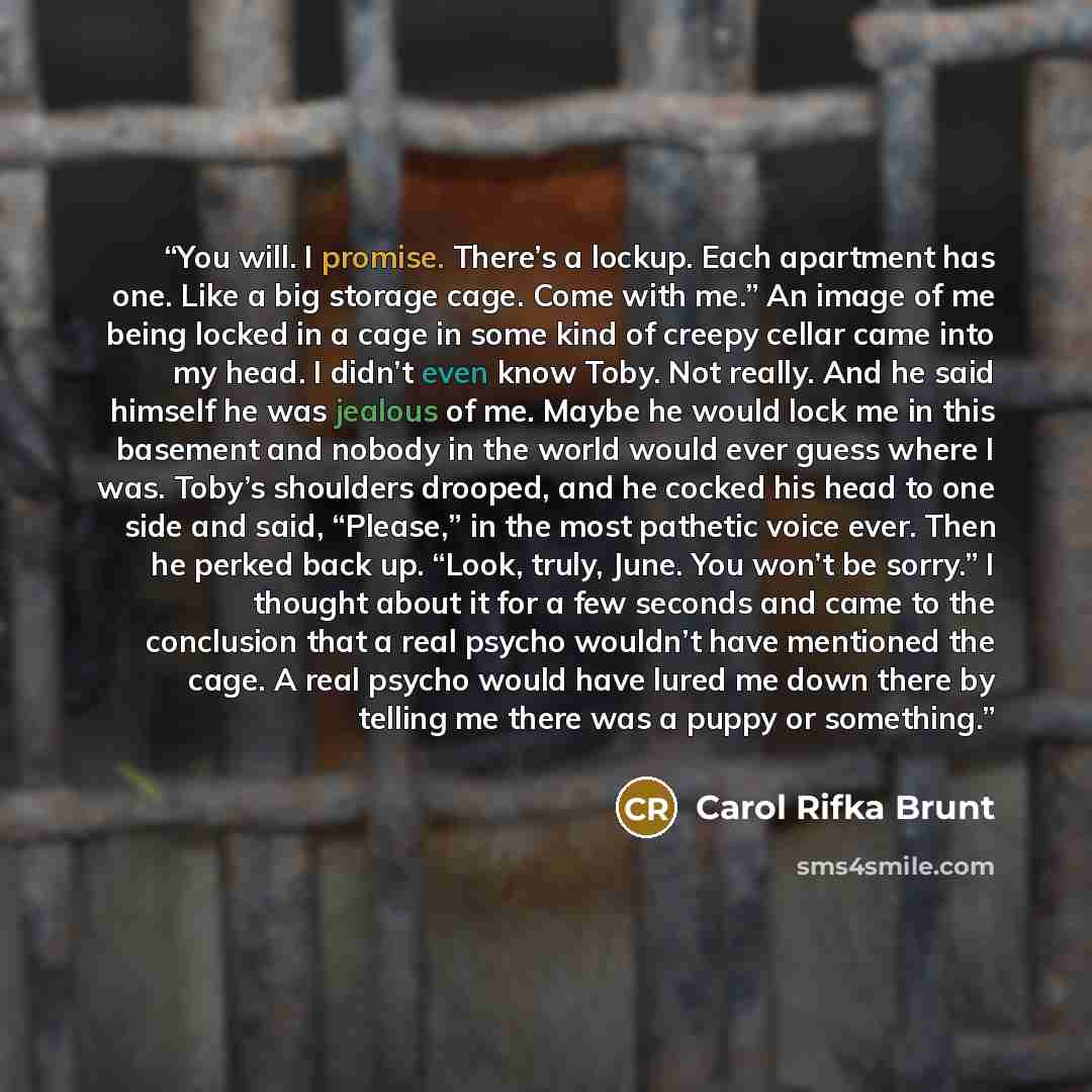 “You will. I promise. There’s a lockup. Each apartment has one. Like a big storage cage. Come with me.” An image of me being locked in a cage in some kind of creepy cellar came into my head. I didn’t even know Toby. Not really. And he said himself he was jealous of me. Maybe he would lock me in…” quote by Carol Rifka Brunt