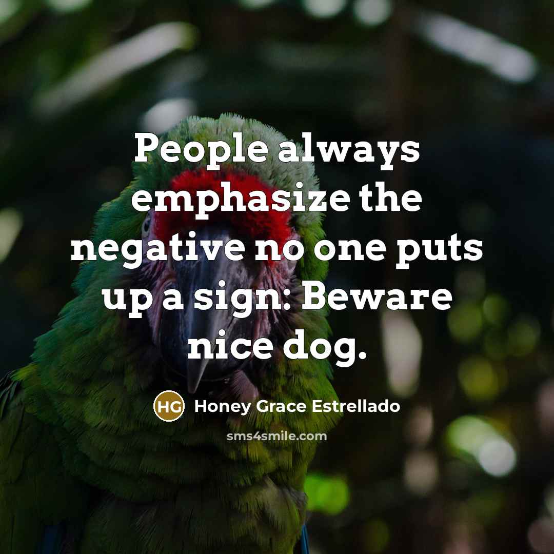 “People always emphasize the negative no one puts up a sign: Beware nice dog.” quote by Honey Grace Estrellado