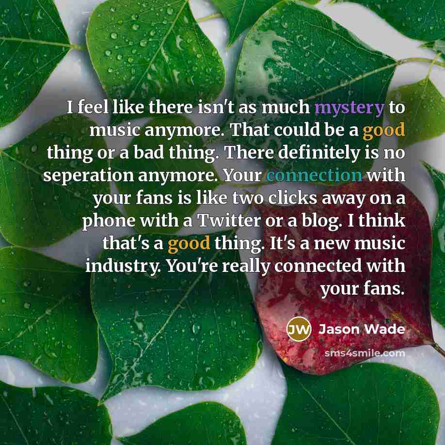 “I feel like there isn't as much mystery to music…” quote by Jason Wade