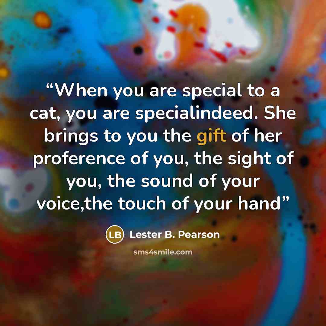 “When you are special to a cat, you are specialindeed. She brings to you the gift of her proference of you, the sight of you, the sound of your voice,the touch of your hand” quote by Lester B. Pearson