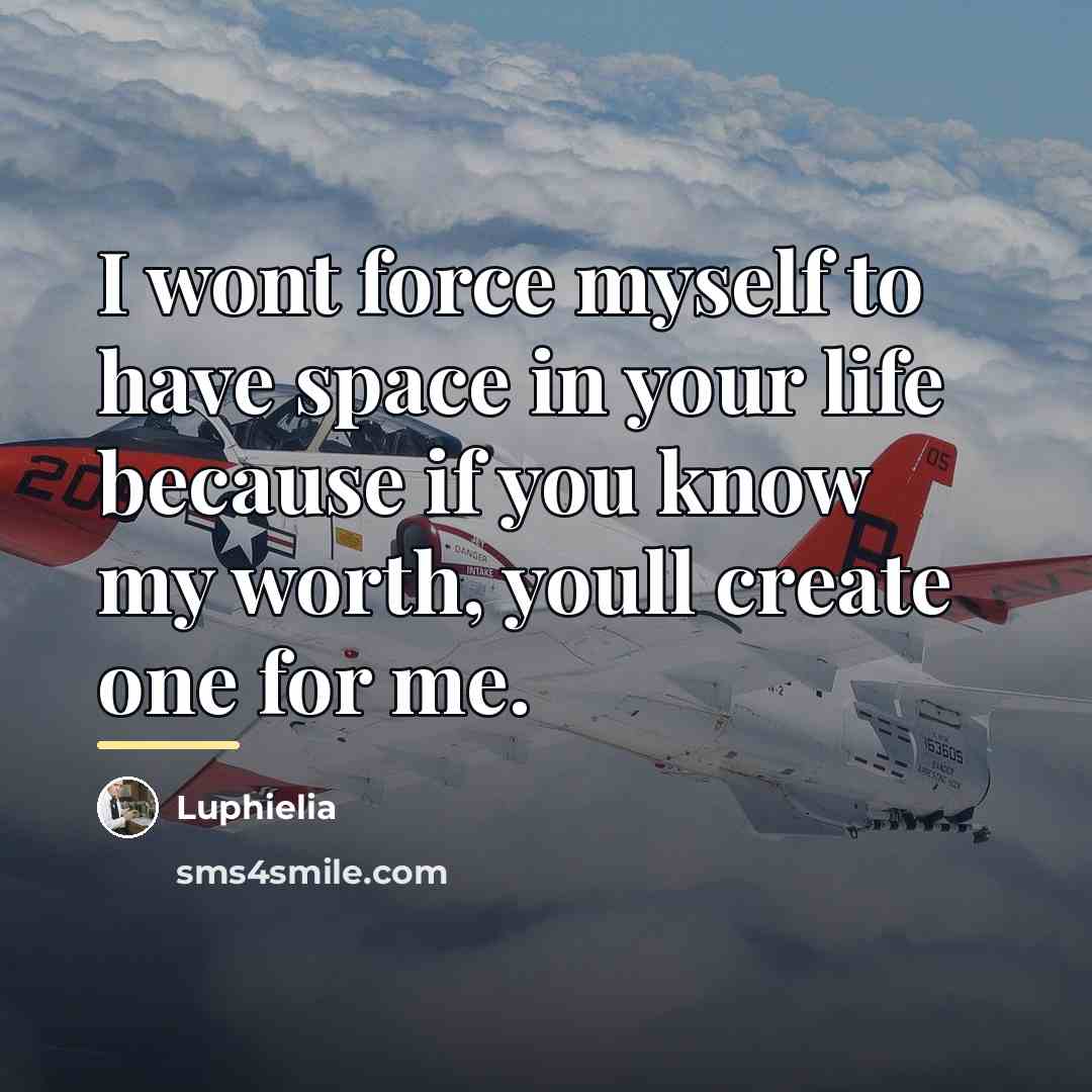 “I wont force myself to have space in your life…” quote by Luphielia