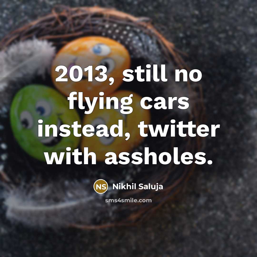 “2013, still no flying cars instead, twitter with assholes.…” quote by Nikhil Saluja