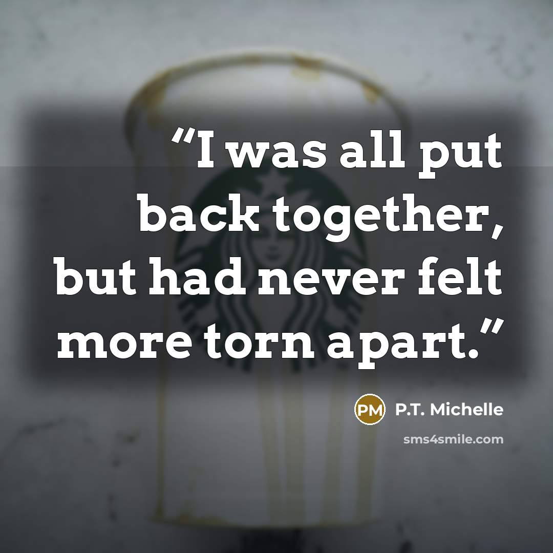 “I was all put back together, but had never felt more torn apart.” quote by P.T. Michelle