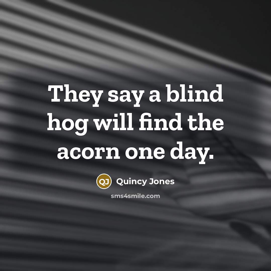 “They say a blind hog will find the acorn one day.” quote by Quincy Jones