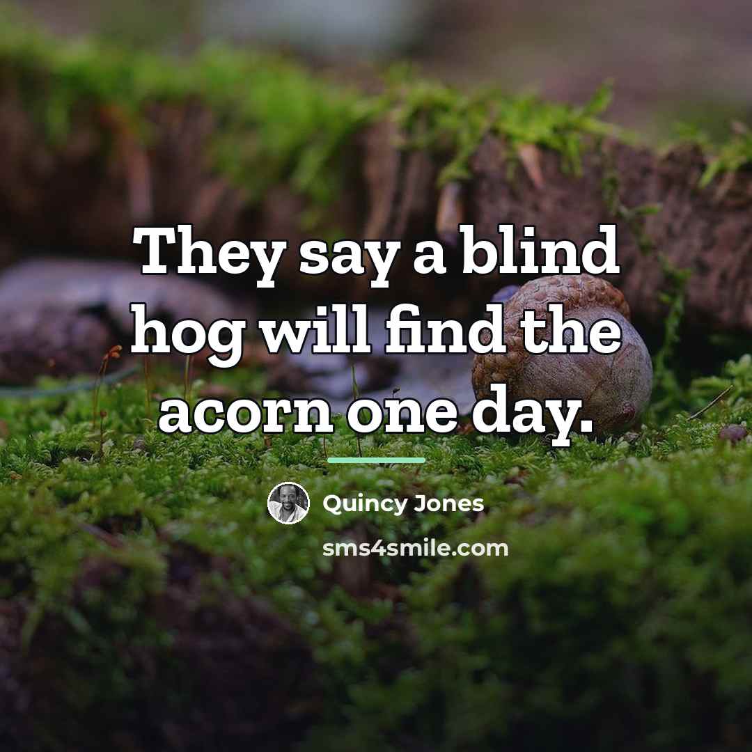 “They say a blind hog will find the acorn one…” quote by Quincy Jones