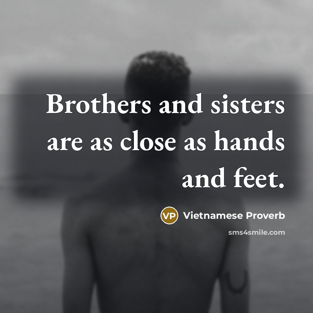 “Brothers and sisters are as close as hands and feet.…” quote by Vietnamese Proverb