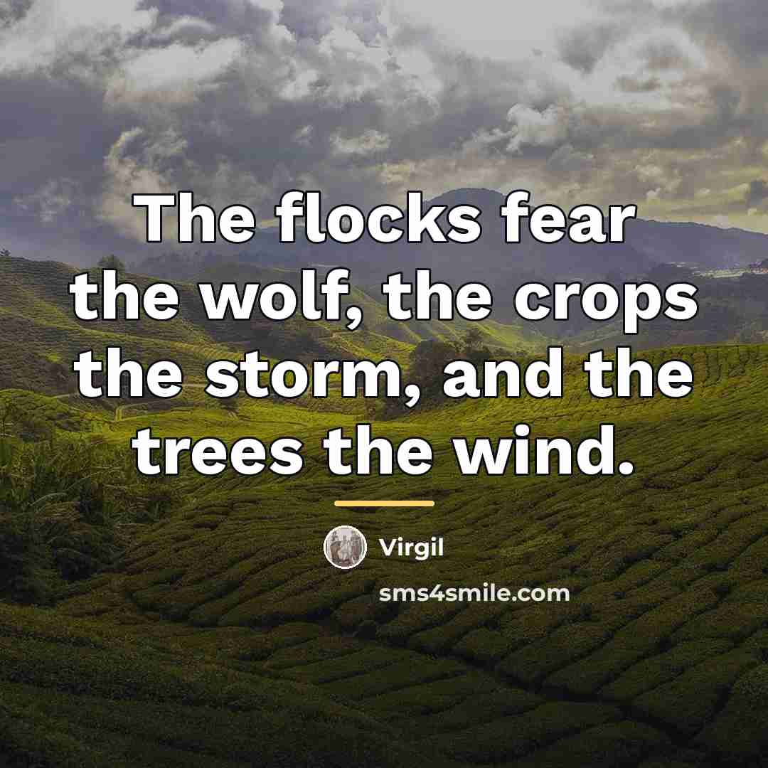 “The flocks fear the wolf, the crops the storm, and…” quote by Virgil