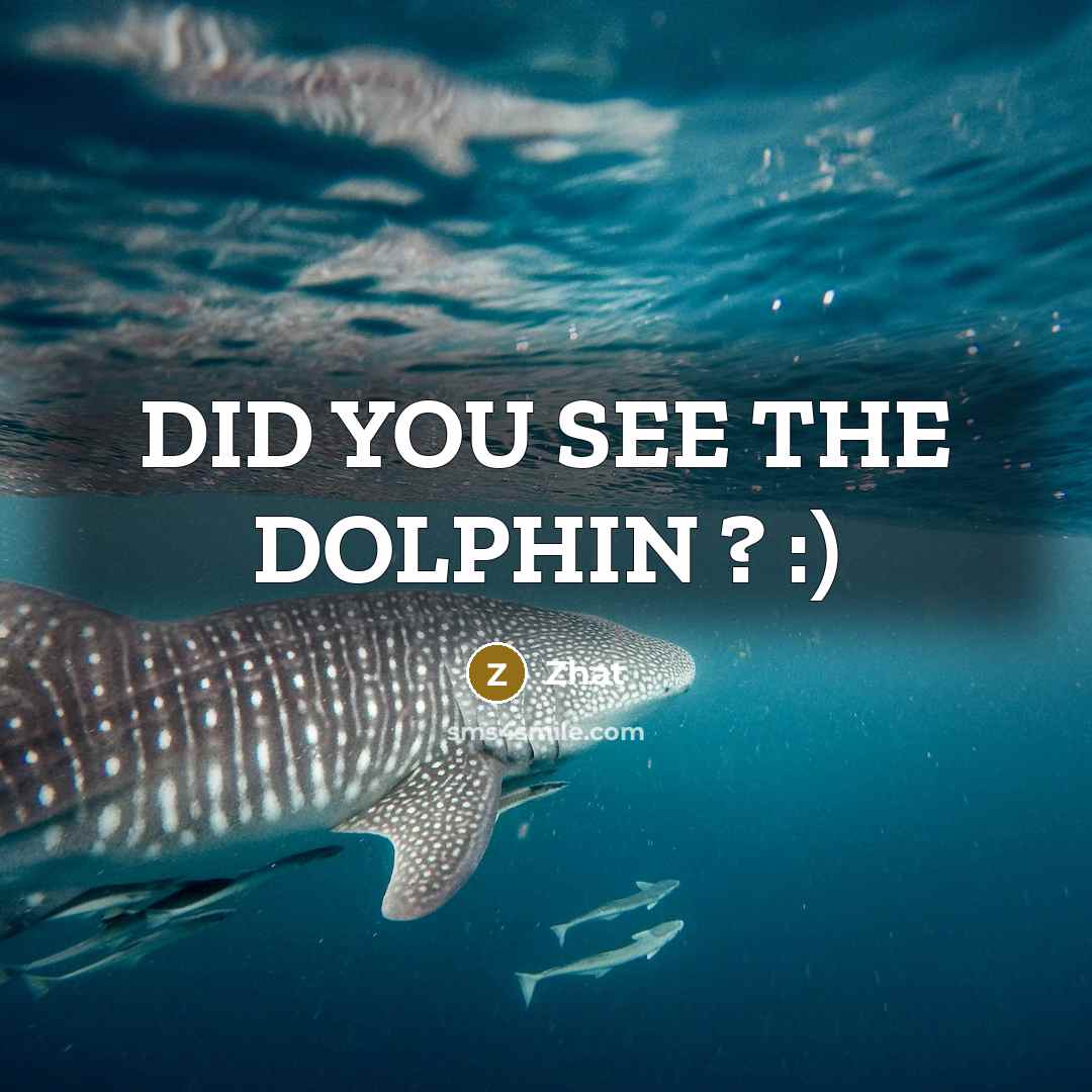 “DID YOU SEE THE DOLPHIN ? :)” quote by Zhat