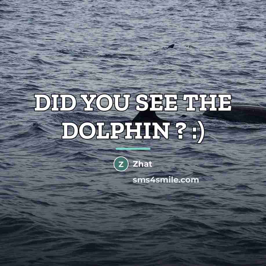 “DID YOU SEE THE DOLPHIN ? :)…” quote by Zhat