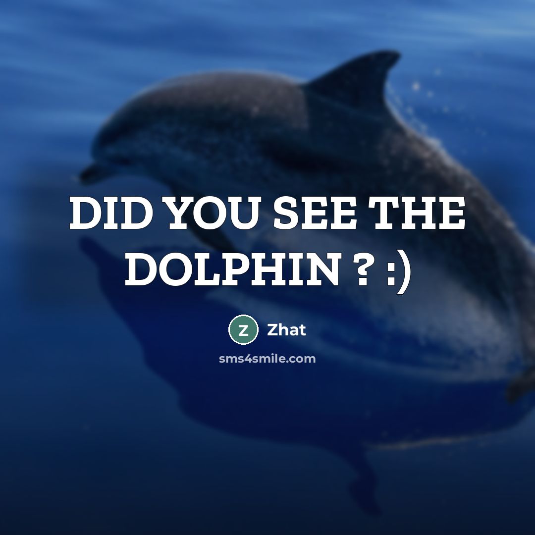 “DID YOU SEE THE DOLPHIN ? :)” quote by Zhat
