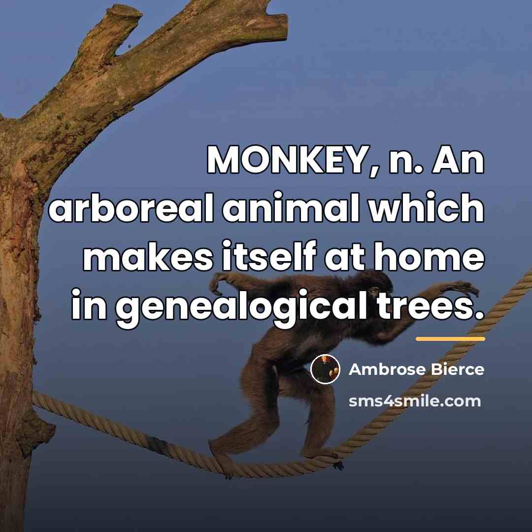 “MONKEY, n. An arboreal animal which makes itself at home…” quote by Ambrose Bierce