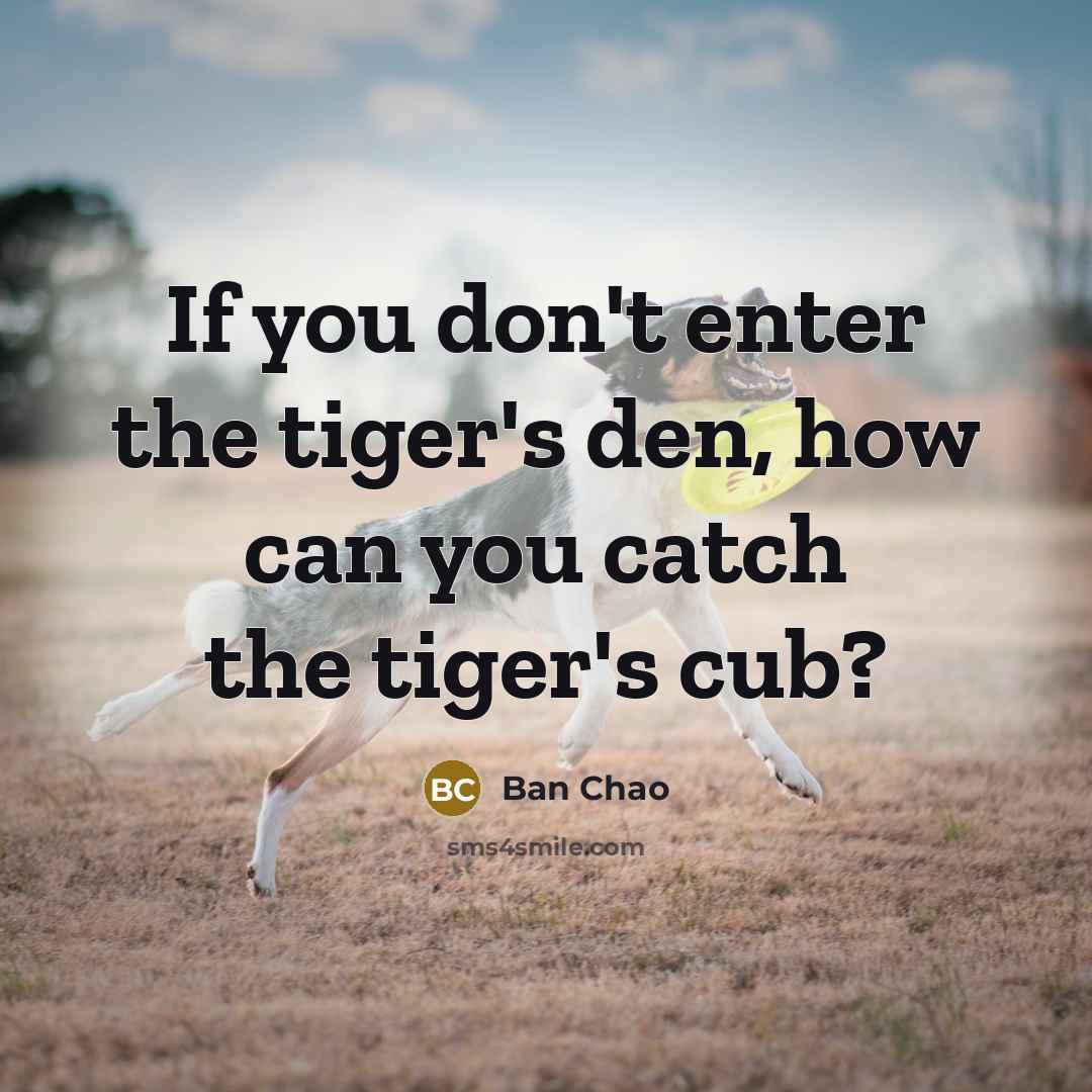 “If you don't enter the tiger's den, how can you catch the tiger's cub?” quote by Ban Chao