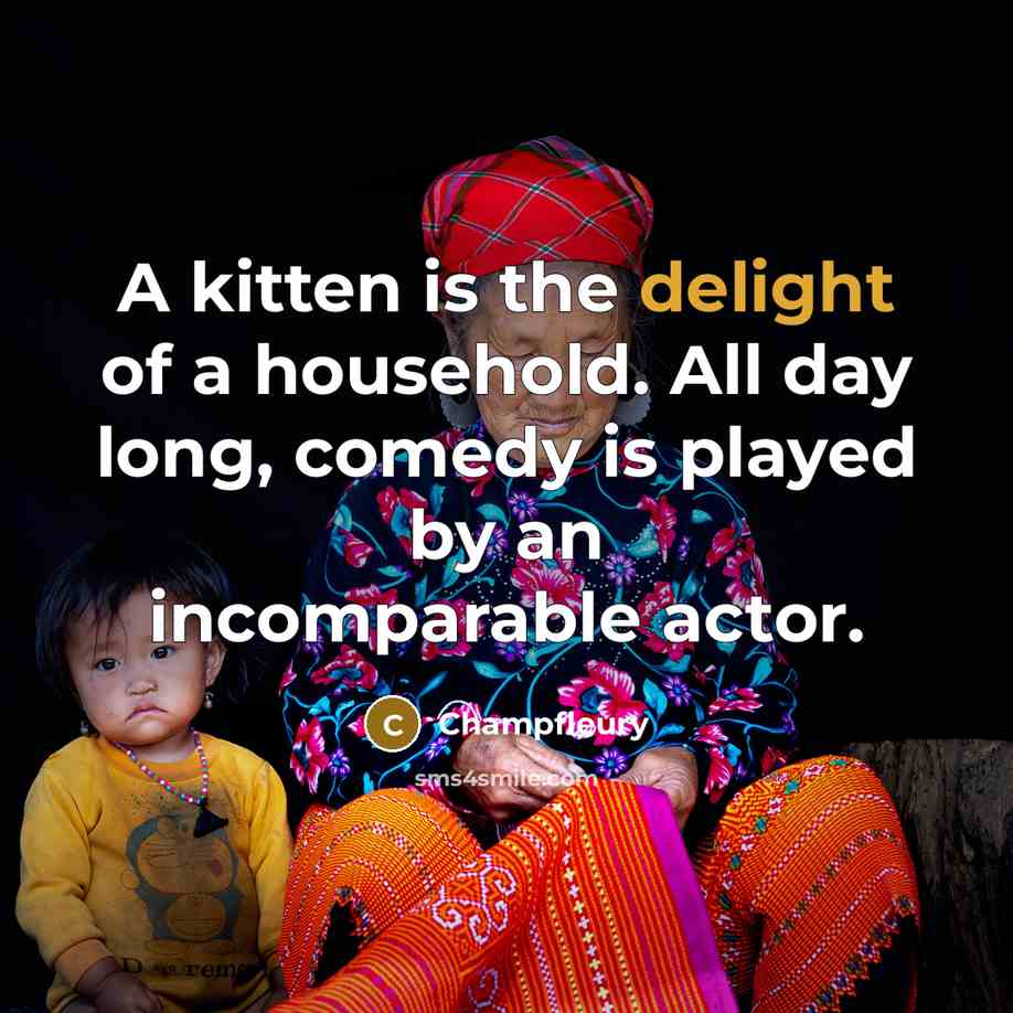 “A kitten is the delight of a household. All day…” quote by Champfleury